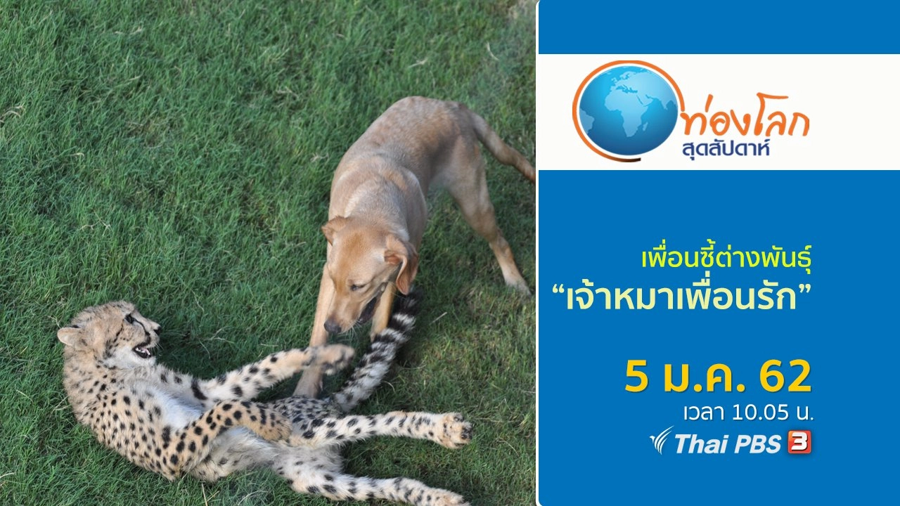 เพื่อนซี้ต่างพันธุ์ ตอน เจ้าหมาเพื่อนรัก