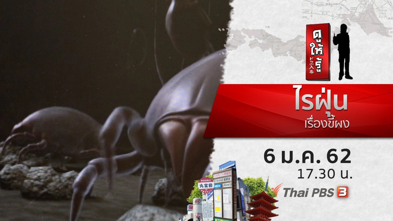 ไรฝุ่น เรื่องขี้ผง