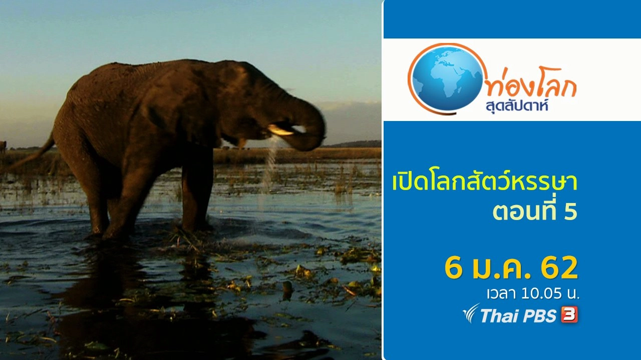 เปิดโลกสัตว์หรรษา ตอนที่ 5