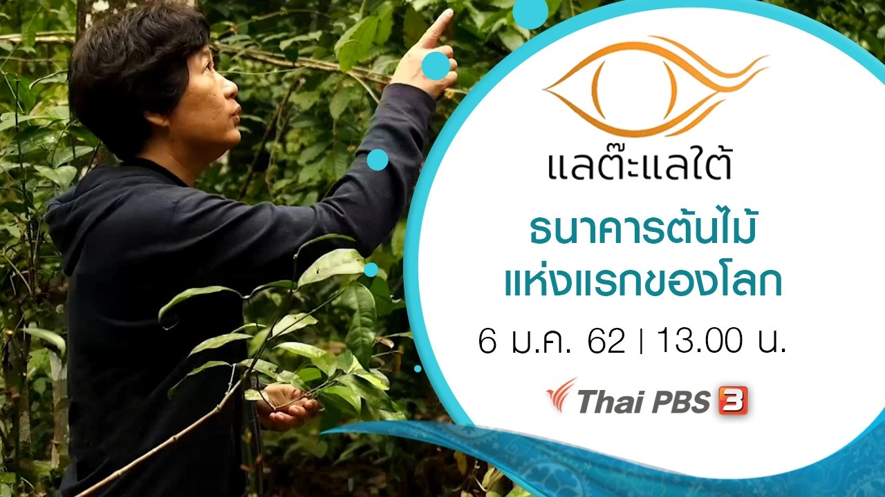 ธนาคารต้นไม้แห่งแรกของโลก