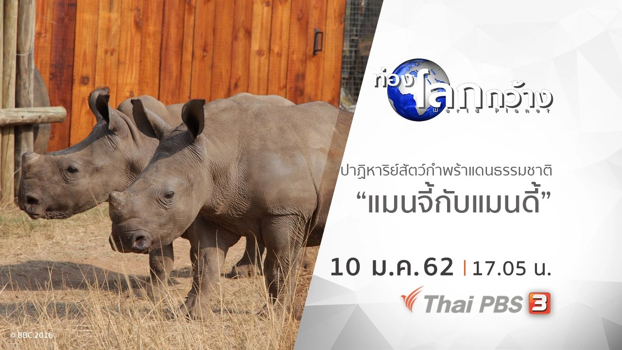 ปาฏิหาริย์สัตว์กำพร้าแดนธรรมชาติ ตอน แมนจี้กับแมนดี้