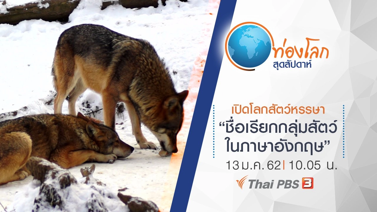 เปิดโลกสัตว์หรรษา ตอน ชื่อเรียกกลุ่มสัตว์ในภาษาอังกฤษ