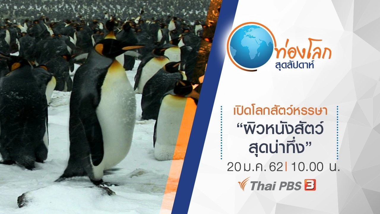 เปิดโลกสัตว์หรรษา ตอน ผิวหนังสัตว์สุดน่าทึ่ง