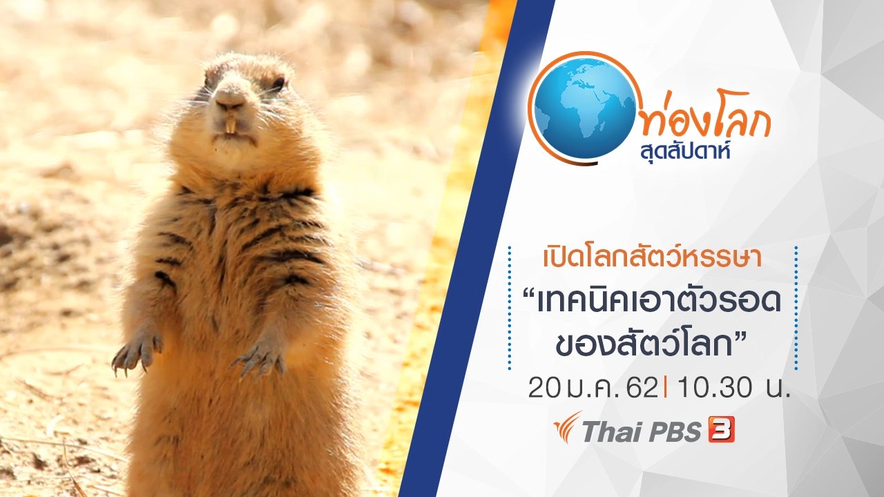เปิดโลกสัตว์หรรษา ตอน เทคนิคเอาตัวรอดของสัตว์โลก
