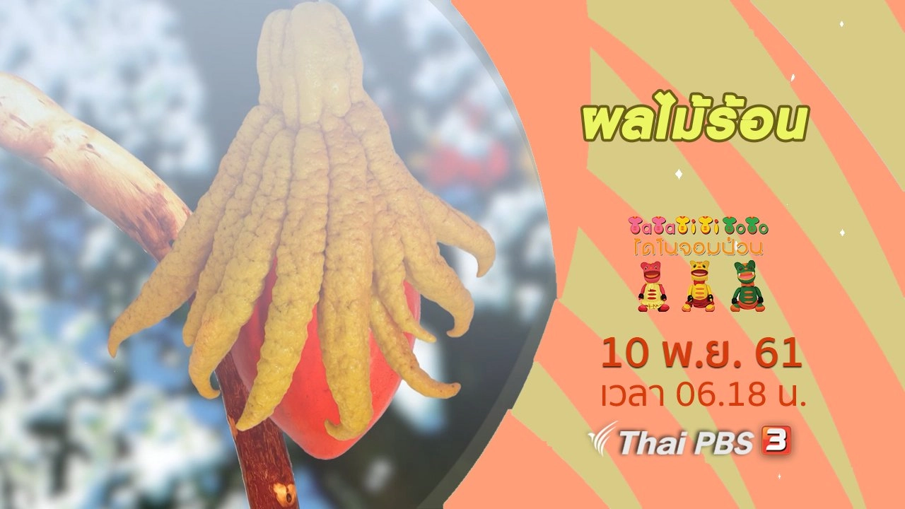 ผลไม้ร้อน