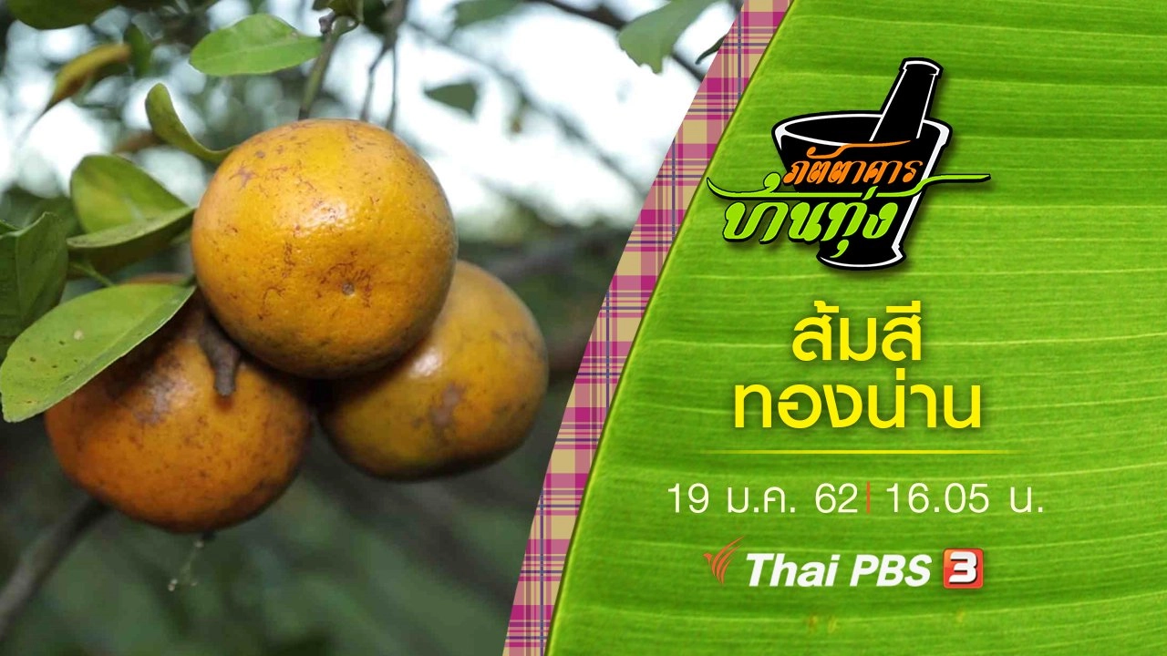 ส้มสีทองน่าน