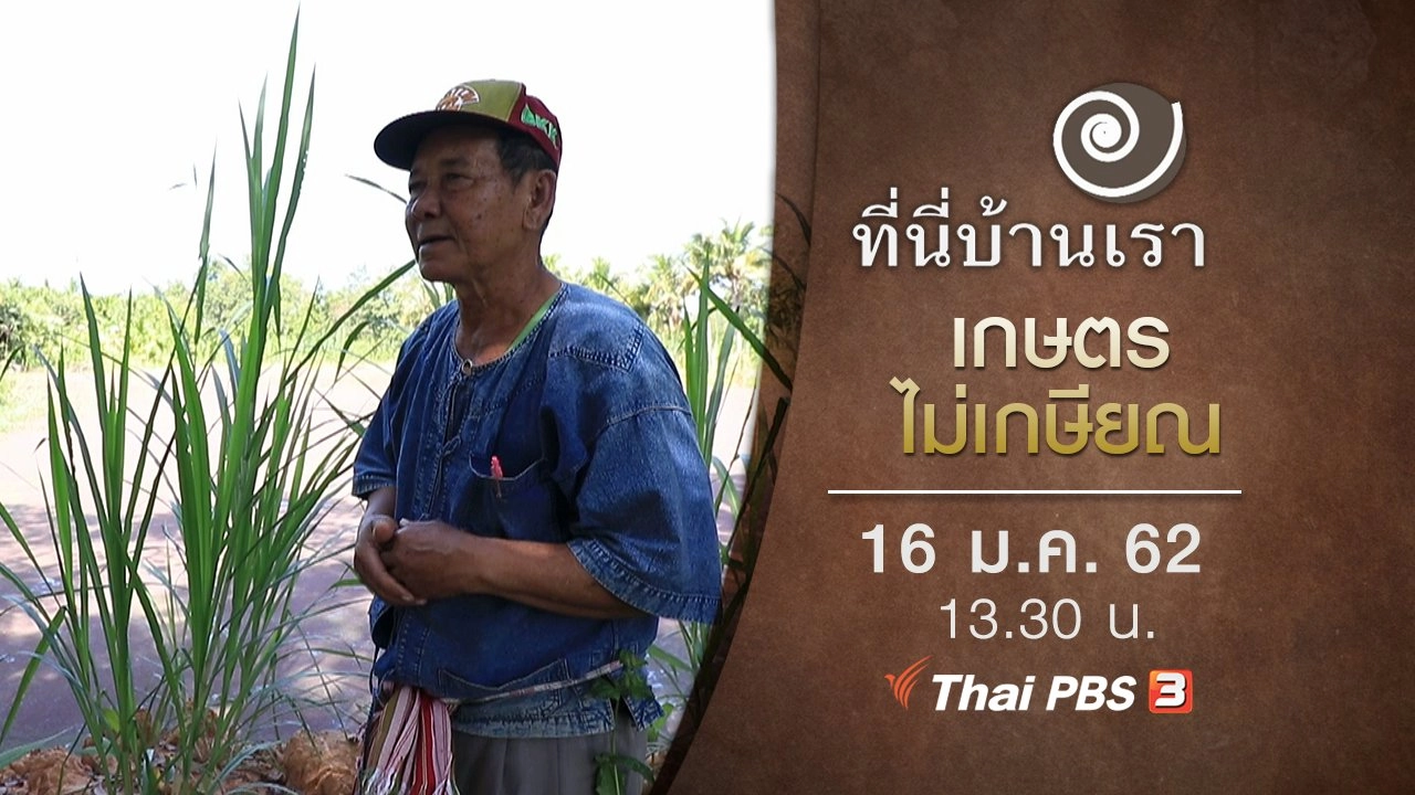 เกษตรไม่เกษียณ