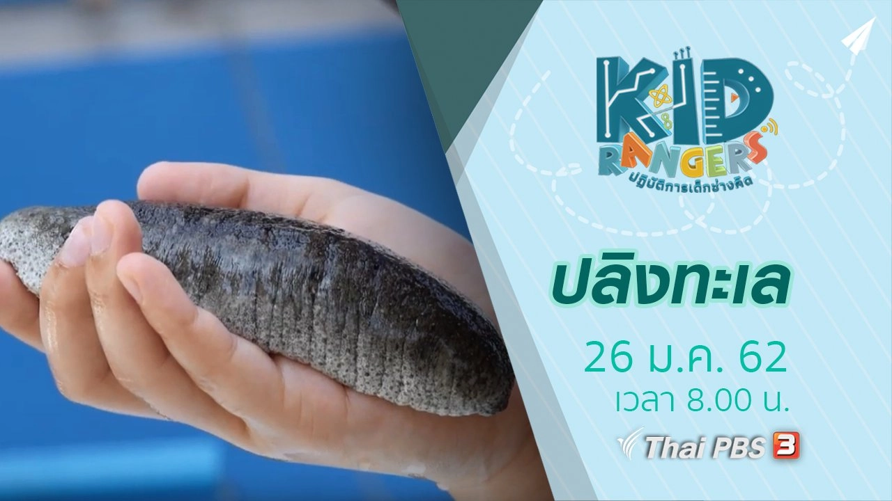 ปลิงทะเล