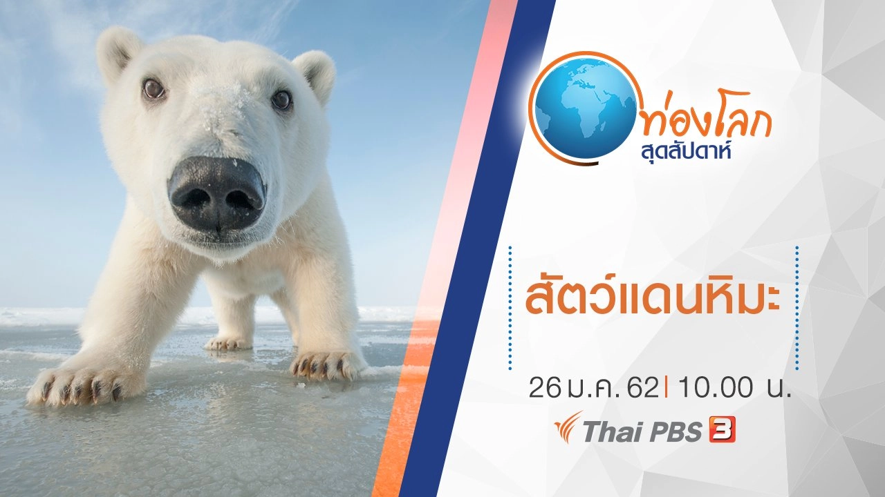 สัตว์แดนหิมะ