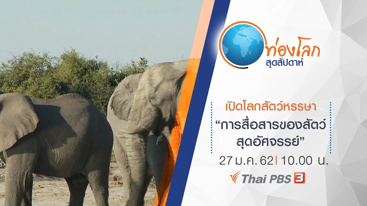 เปิดโลกสัตว์หรรษา ตอน การสื่อสารของสัตว์สุดอัศจรรย์