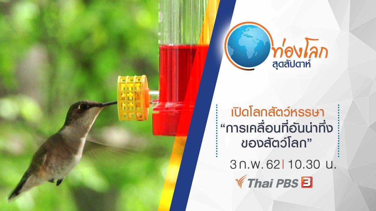 เปิดโลกสัตว์หรรษา ตอน การเคลื่อนที่อันน่าทึ่งของสัตว์โลก