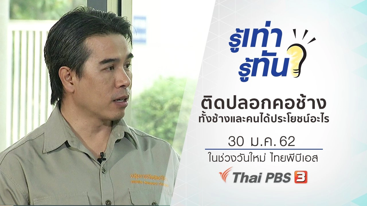 ติดปลอกคอช้าง ทั้งช้างและคนได้ประโยชน์อะไร