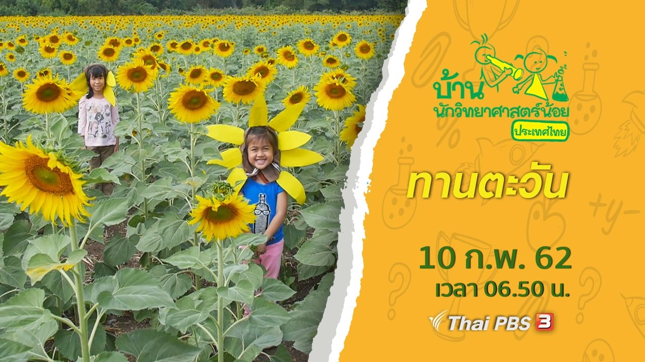 ทานตะวัน