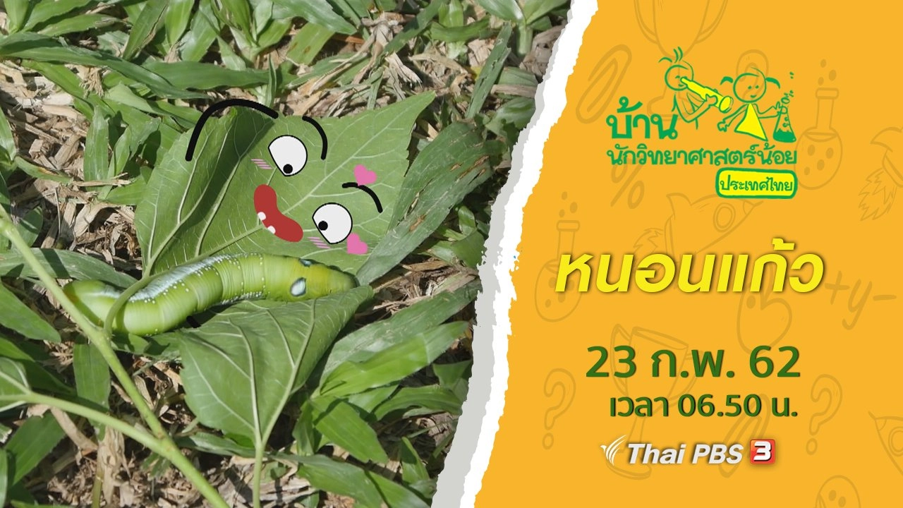 หนอนแก้ว