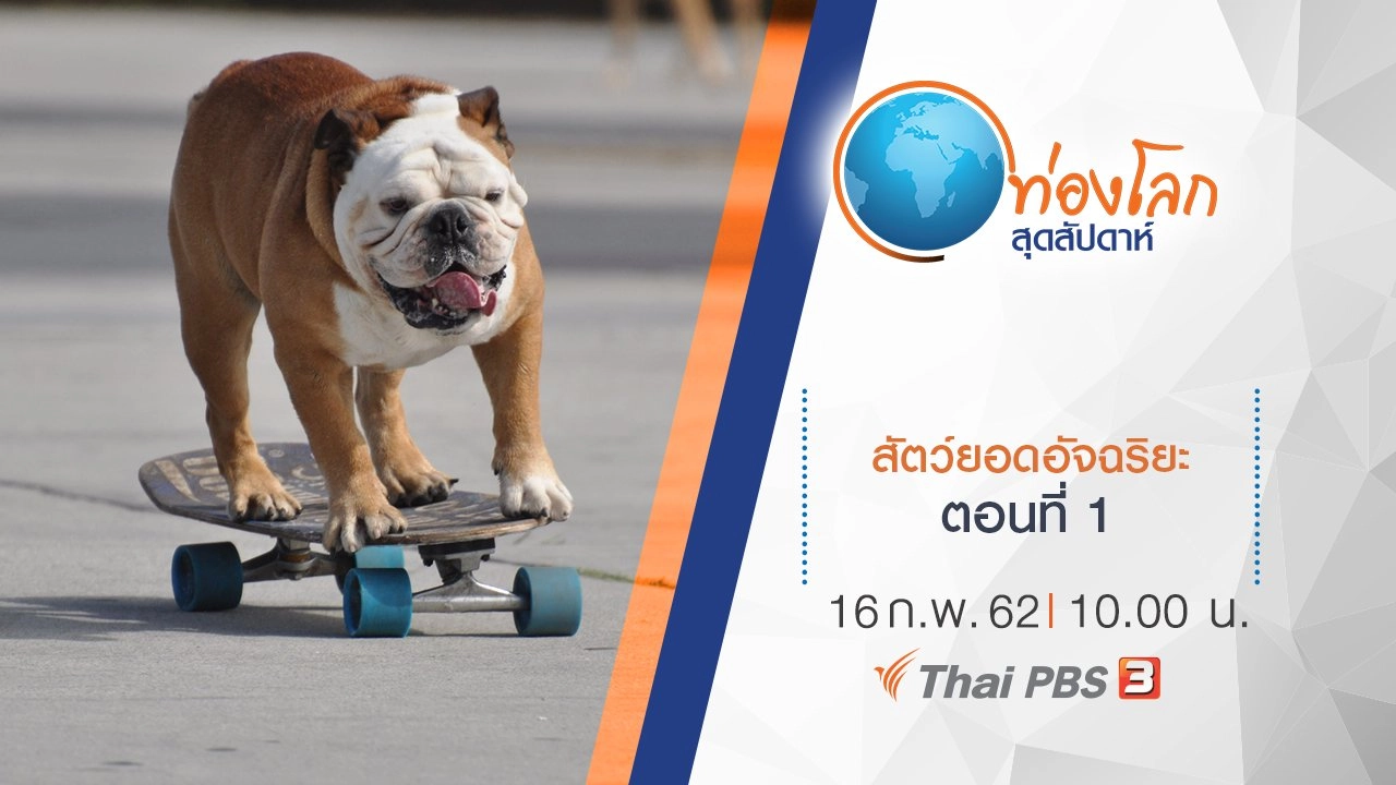 สัตว์ยอดอัจฉริยะ ตอนที่ 1