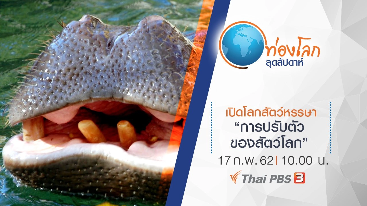 เปิดโลกสัตว์หรรษา ตอน การปรับตัวของสัตว์โลก