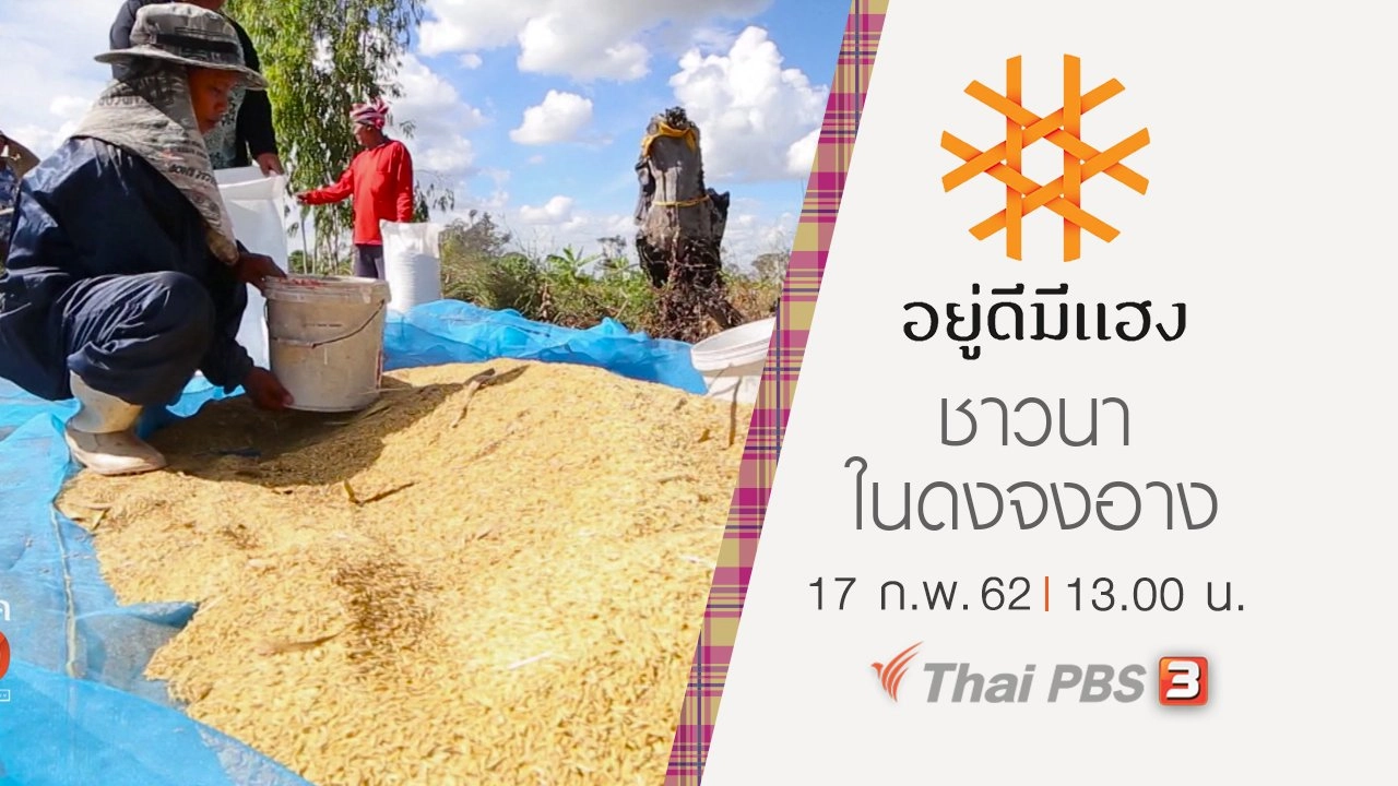 ชาวนาในดงจงอาง