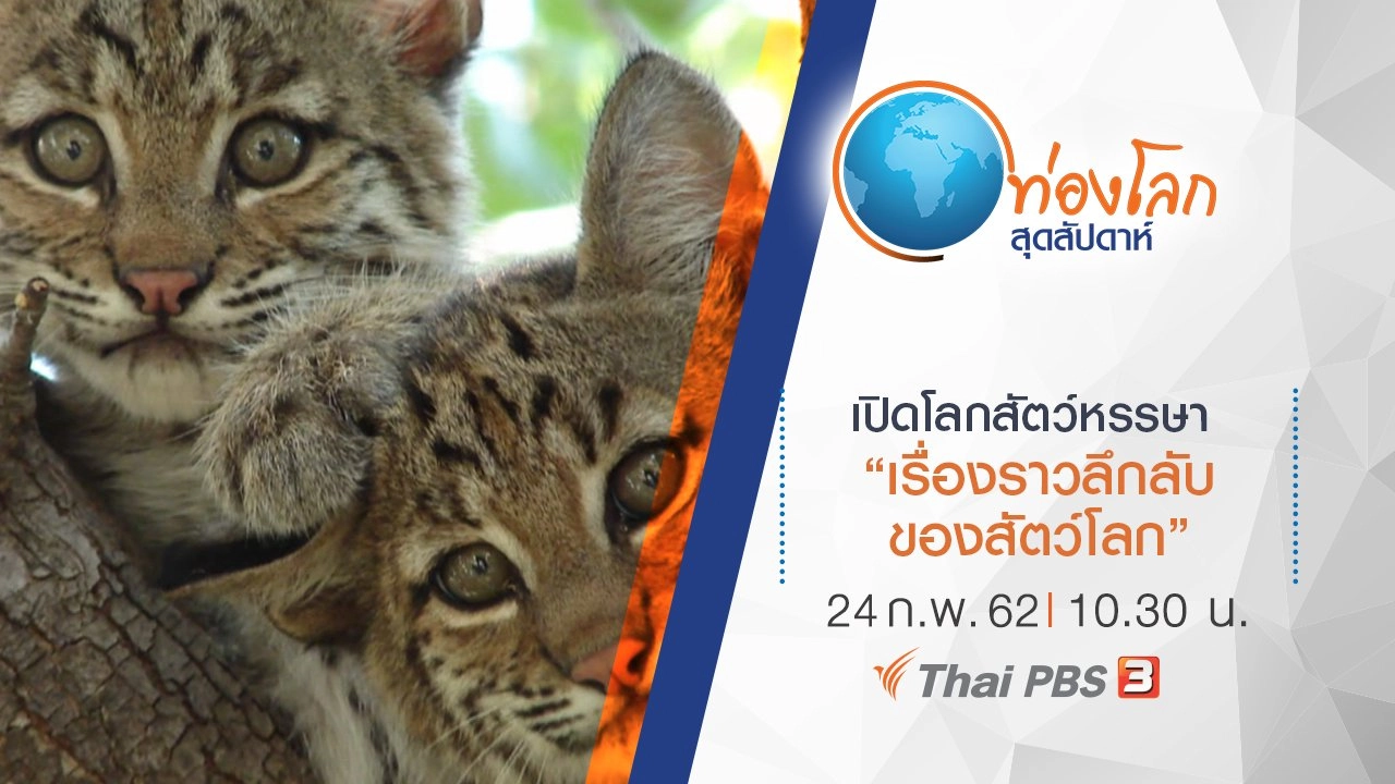 เปิดโลกสัตว์หรรษา ตอน เรื่องราวลึกลับของสัตว์โลก