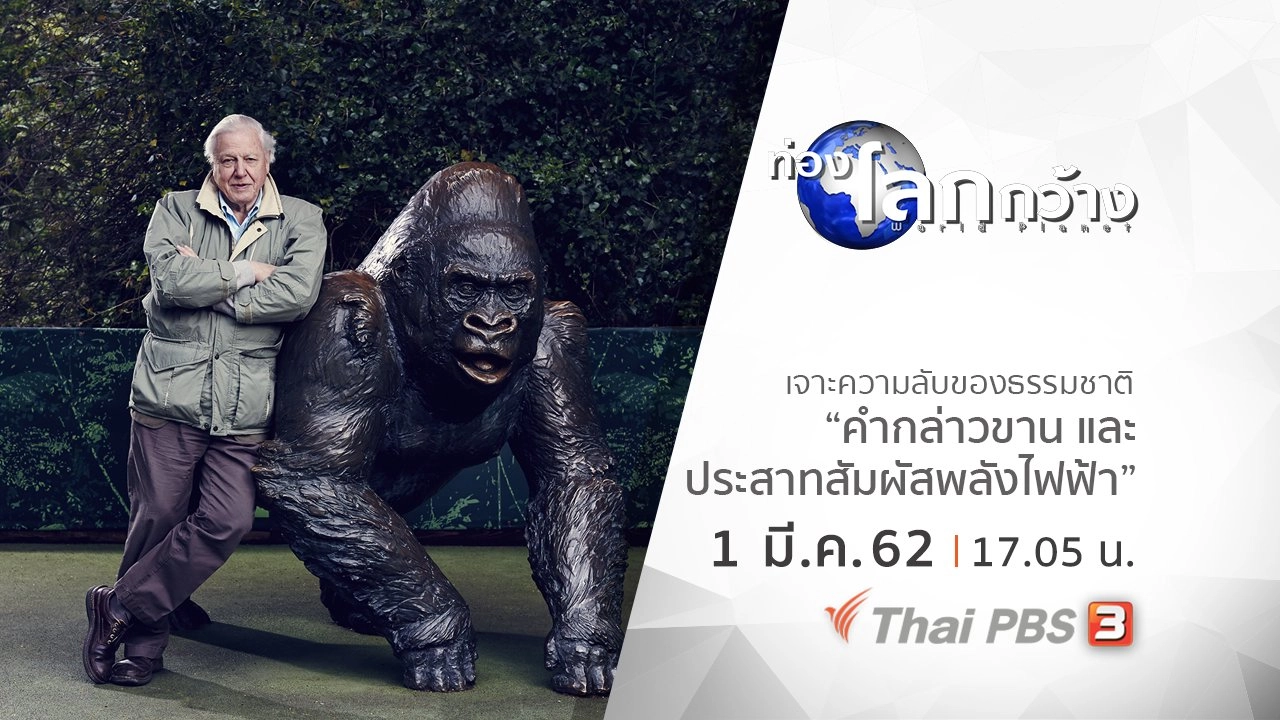 เจาะความลับของธรรมชาติ ตอน คำกล่าวขาน และประสาทสัมผัสพลังไฟฟ้า