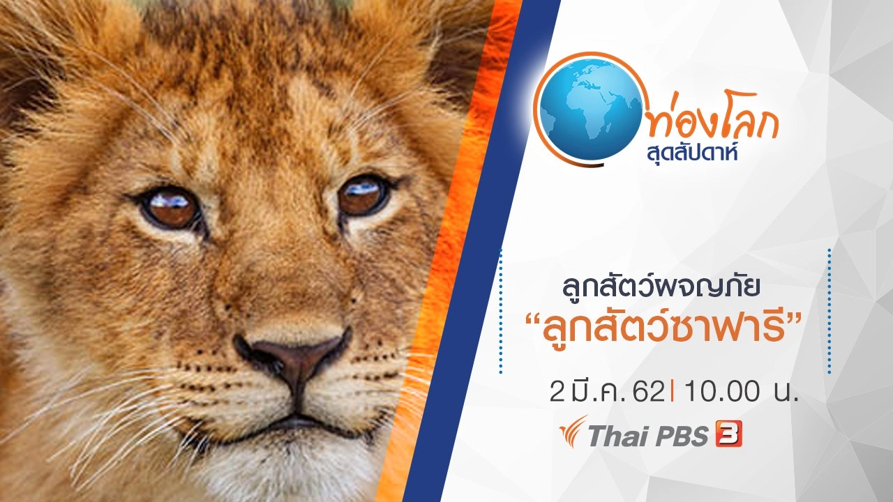 ลูกสัตว์ผจญภัย ตอน ลูกสัตว์ซาฟารี