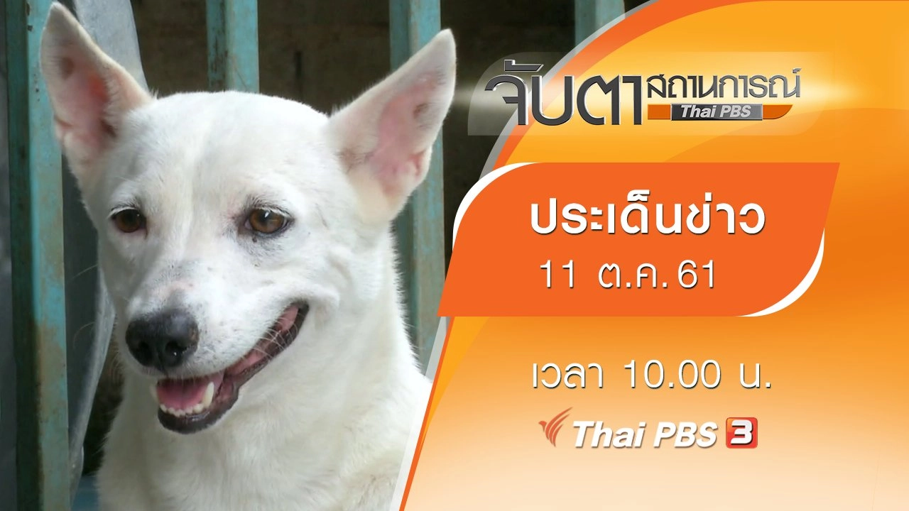 ประเด็นข่าว (11 ต.ค. 61)