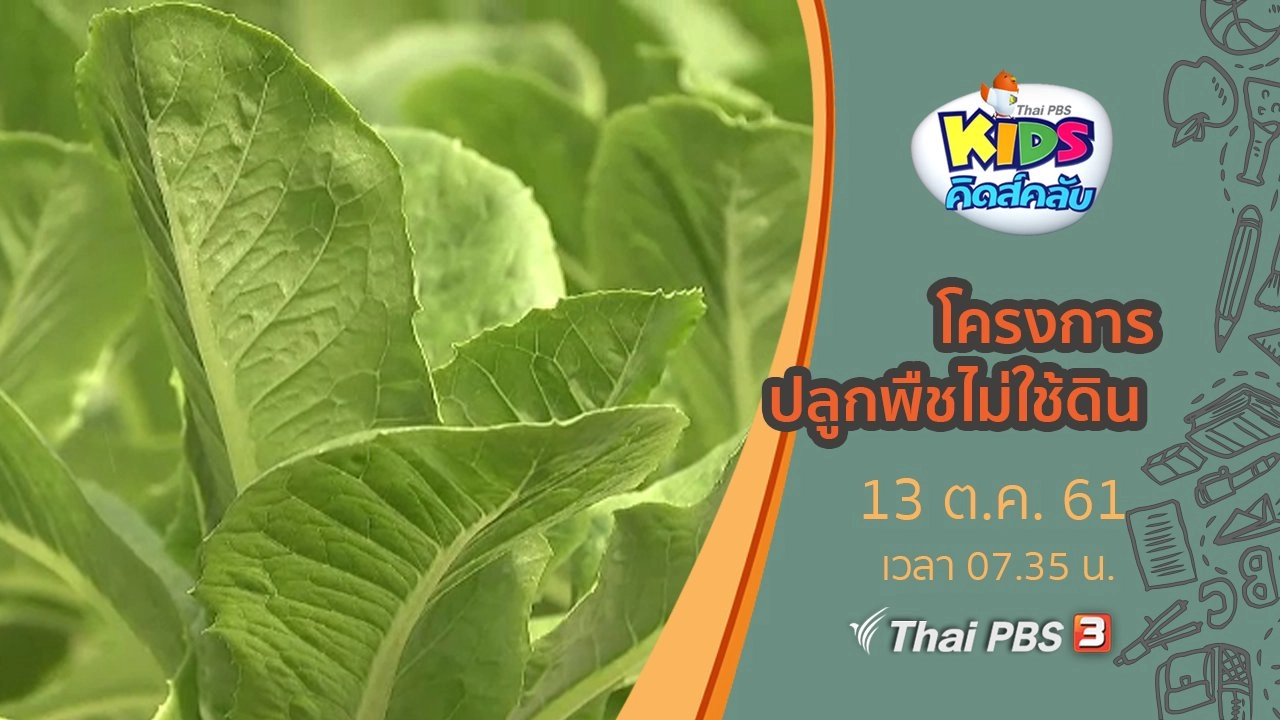 โครงการปลูกพืชไม่ใช้ดิน