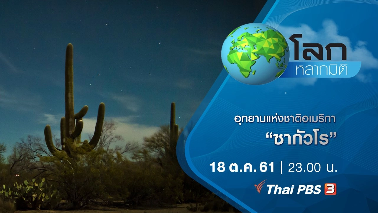 อุทยานแห่งชาติอเมริกา ตอน ซากัวโร