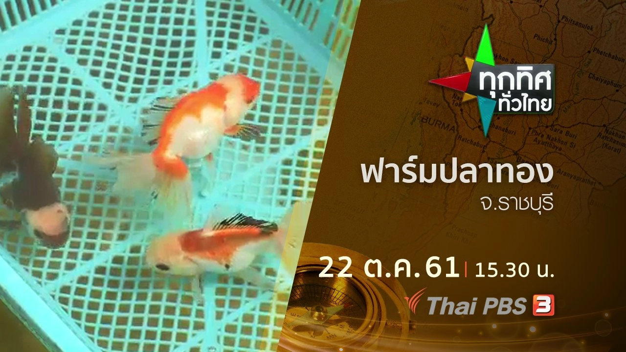 ประเด็นข่าว ( 22 ต.ค. 61)