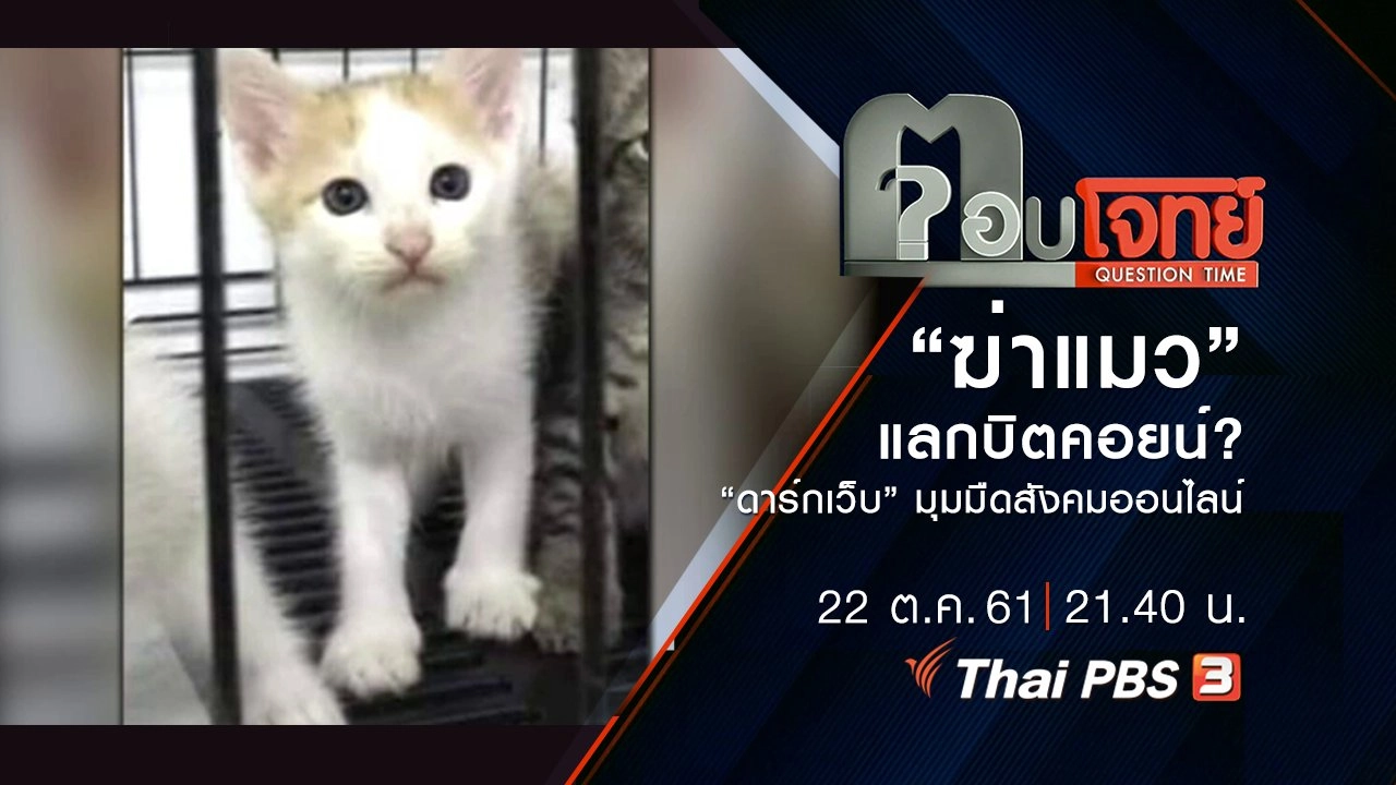 ​“ฆ่าแมว” แลก “บิตคอยน์” ? “ดาร์กเว็บ” มุมมืด “สังคมออนไลน์”