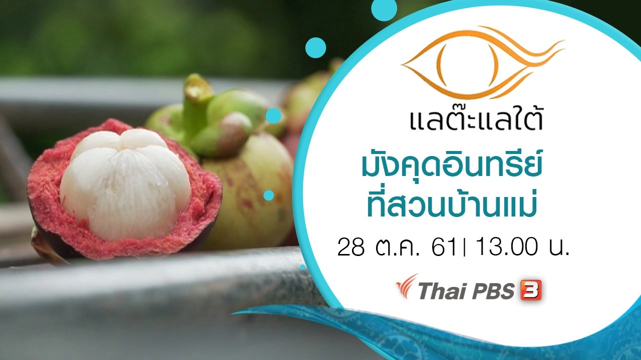 มังคุดอินทรีย์ที่สวนบ้านแม่