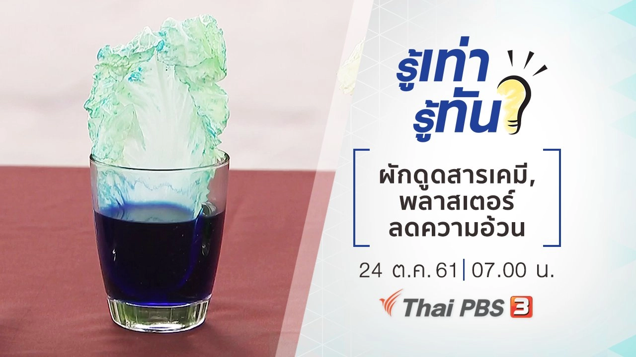 ผักดูดสารเคมี, พลาสเตอร์ลดความอ้วน