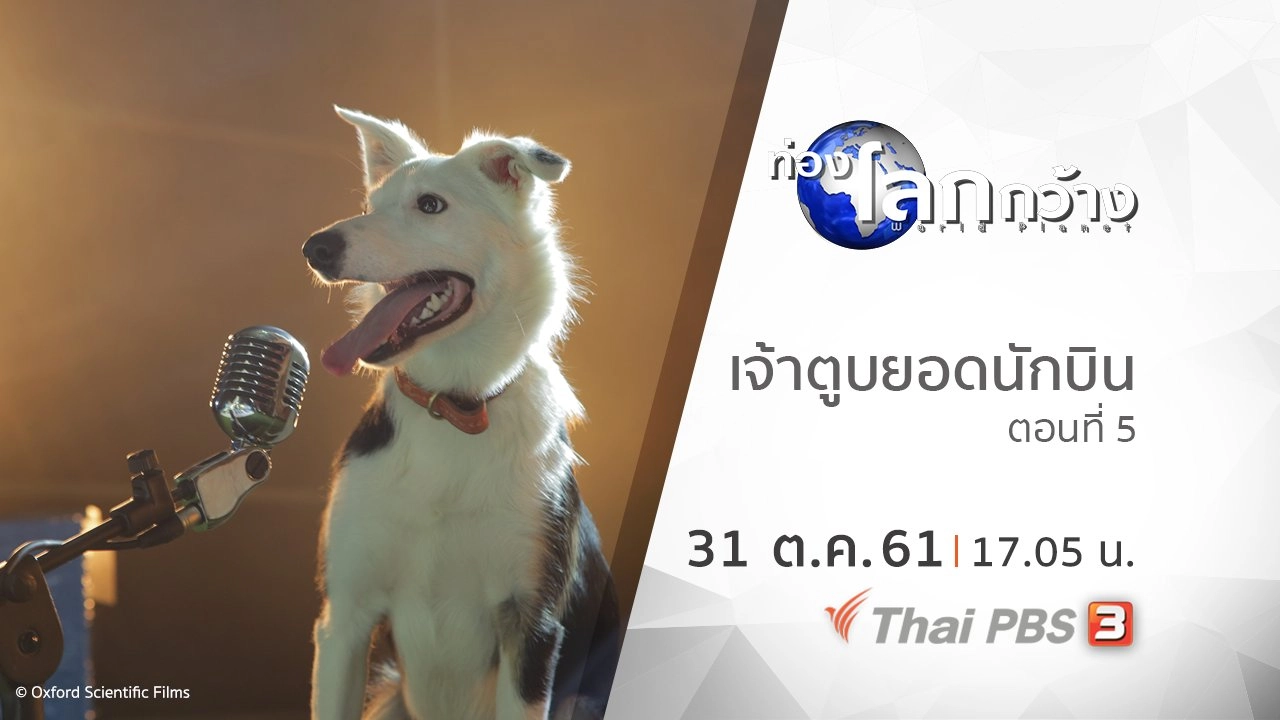 เจ้าตูบยอดนักบิน ตอนที่ 5