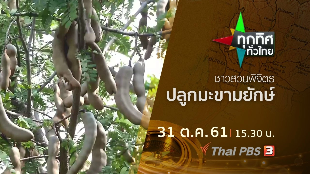 ประเด็นข่าว ( 31 ต.ค. 61)