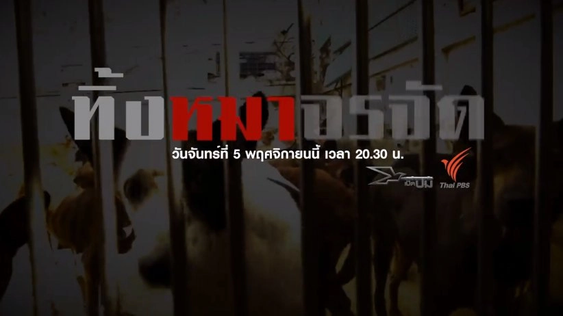 ทิ้งหมาจรจัด