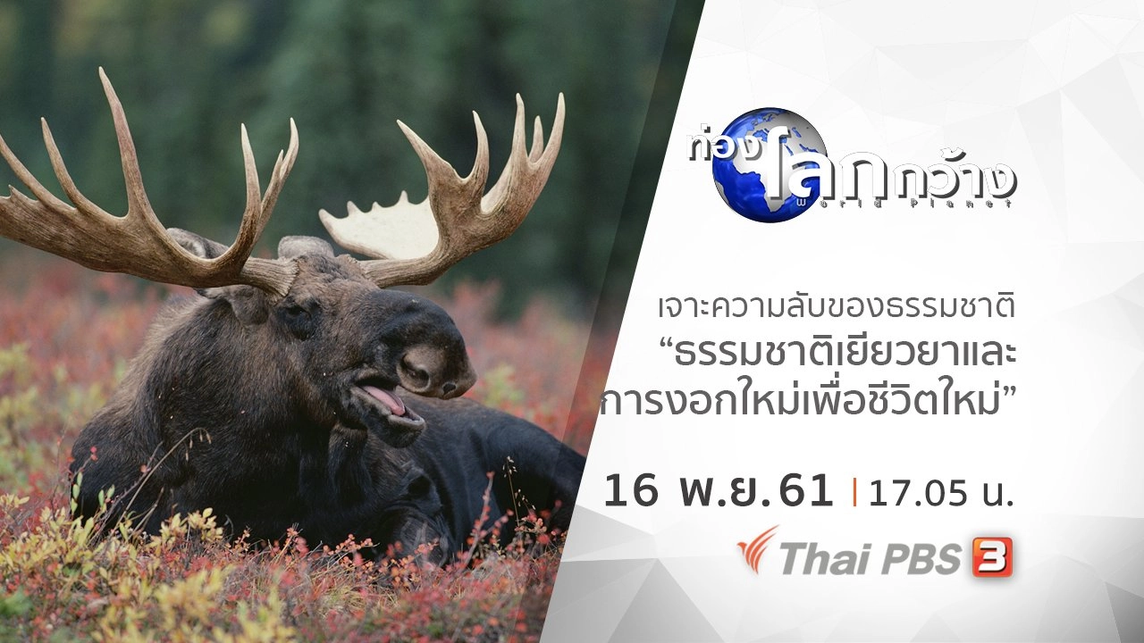 เจาะความลับของธรรมชาติ ตอน ธรรมชาติเยียวยาและการงอกใหม่เพื่อชีวิตใหม่