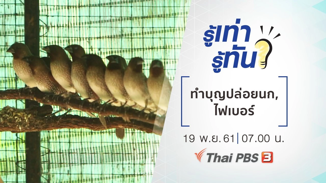 ทำบุญปล่อยนก อาจเสี่ยงผิดกฎหมาย, "ไฟเบอร์" จำเป็นต่อร่างกายหรือไม่