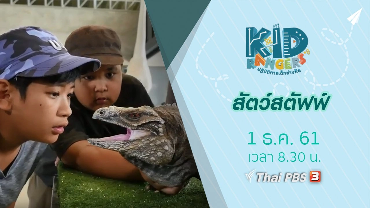 สัตว์สตัฟฟ์