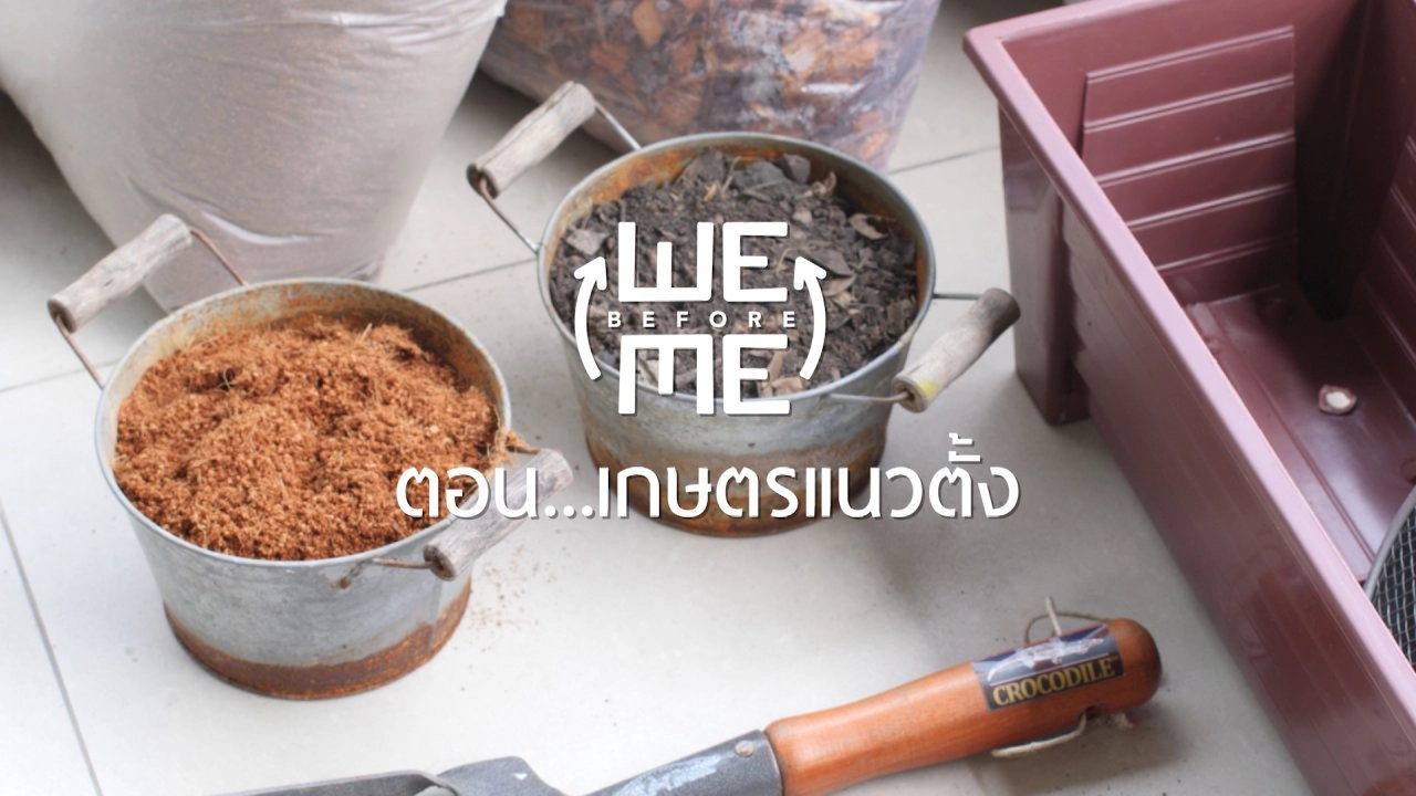 เกษตรแนวตั้ง