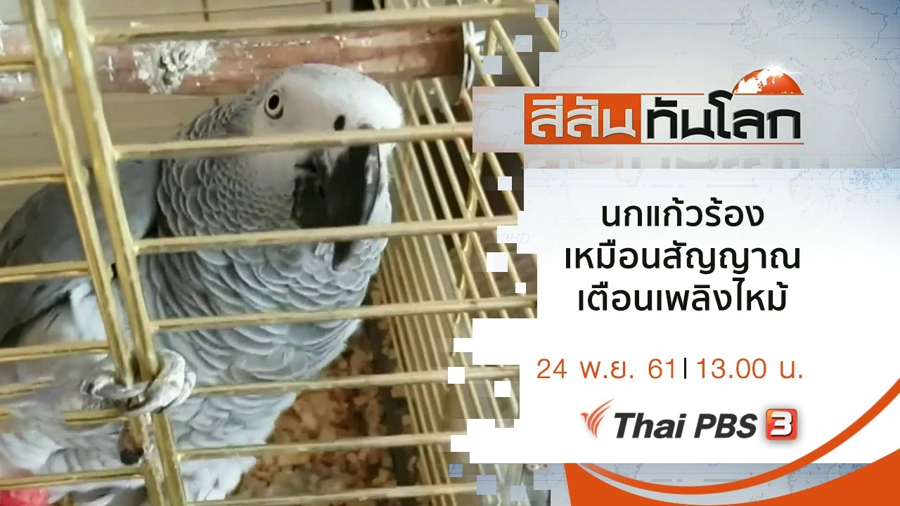 ประเด็นข่าว (24 พ.ย. 61)