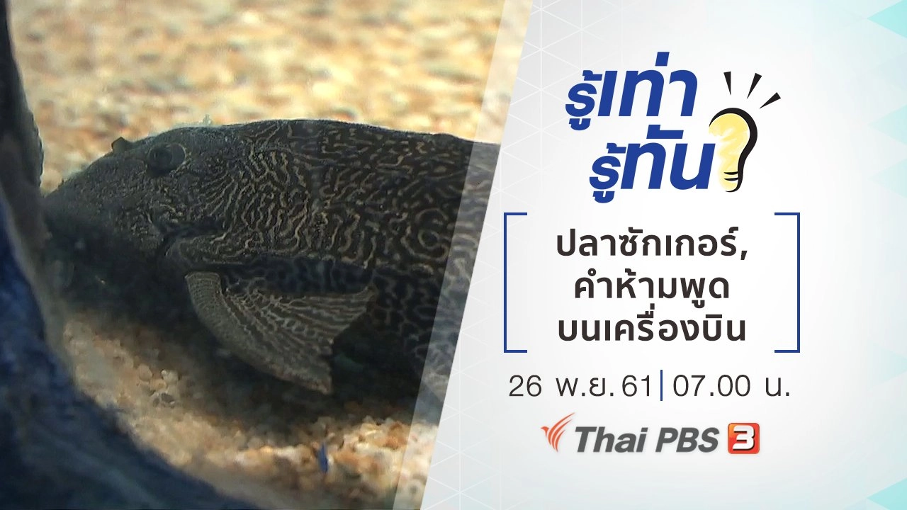 ปลาซักเกอร์, คำห้ามพูดบนเครื่องบิน