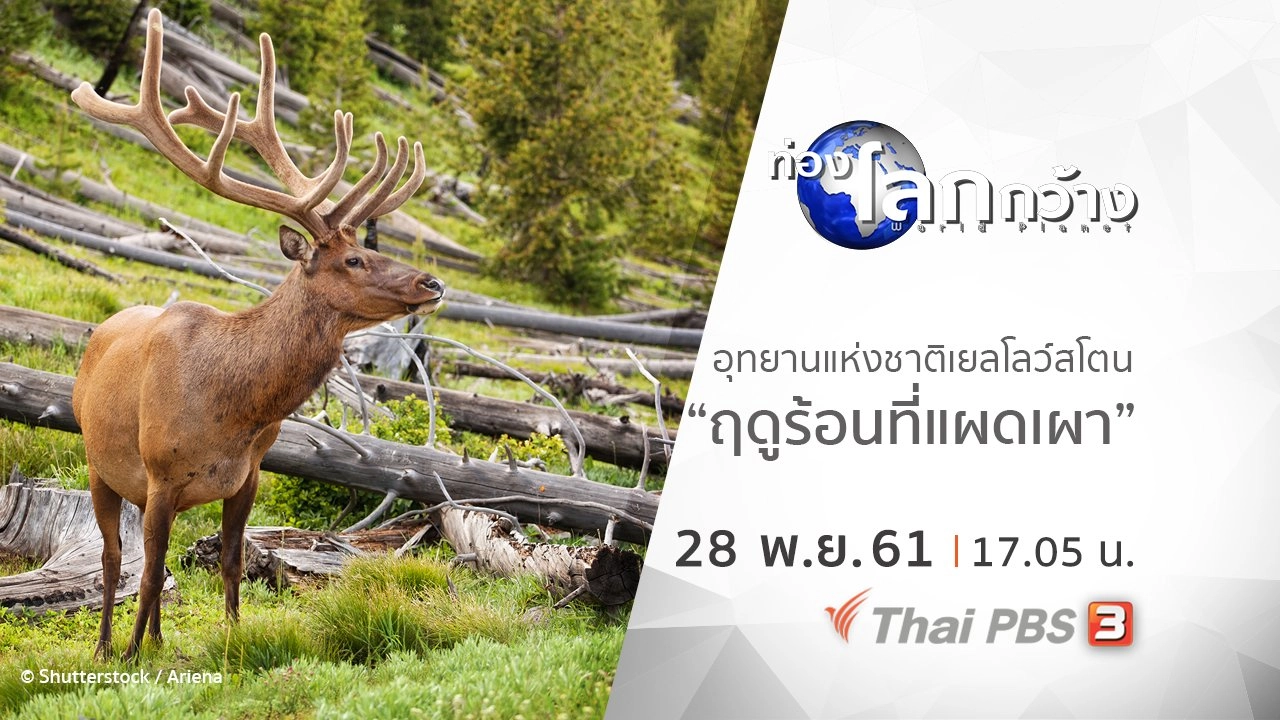 อุทยานแห่งชาติเยลโลว์สโตน ตอน ฤดูร้อนที่แผดเผา