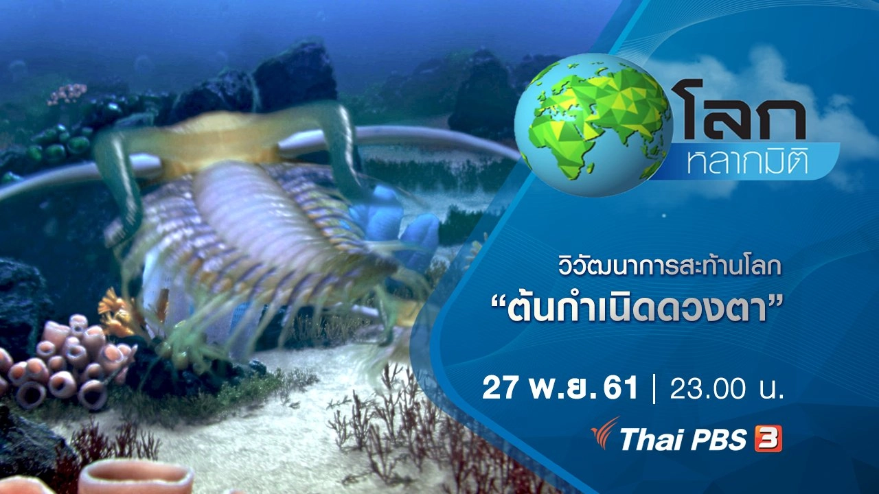 วิวัฒนาการสะท้านโลก ตอน ต้นกำเนิดดวงตา