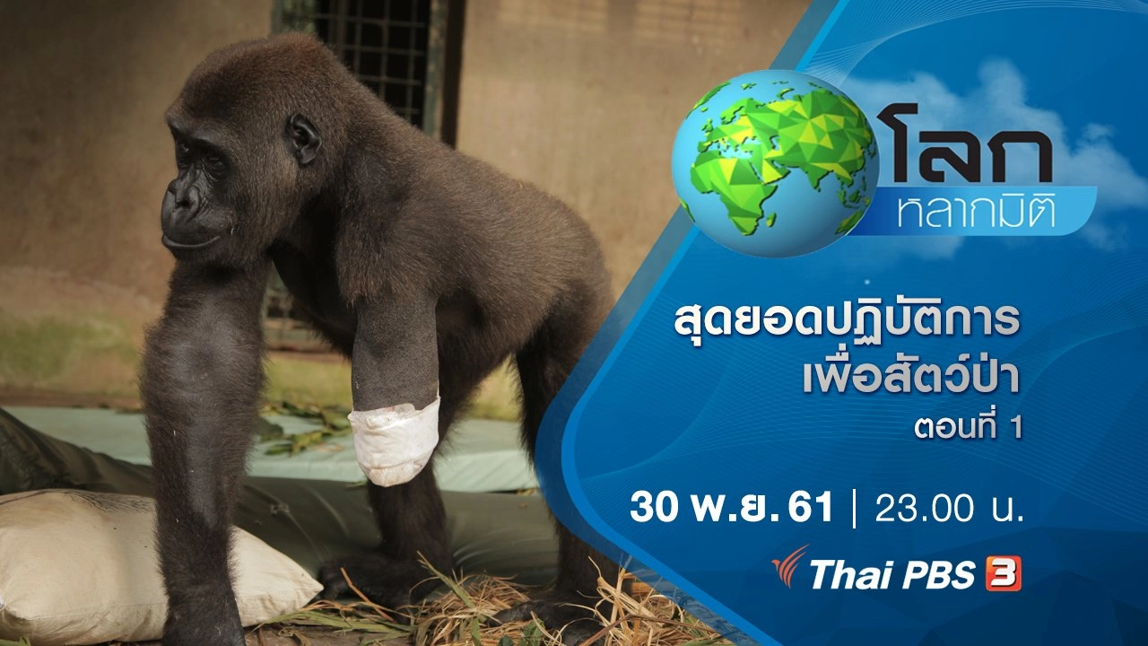 สุดยอดปฏิบัติการเพื่อสัตว์ป่า ตอนที่ 1