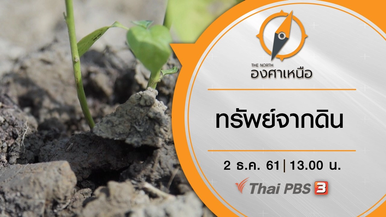 ทรัพย์จากดิน