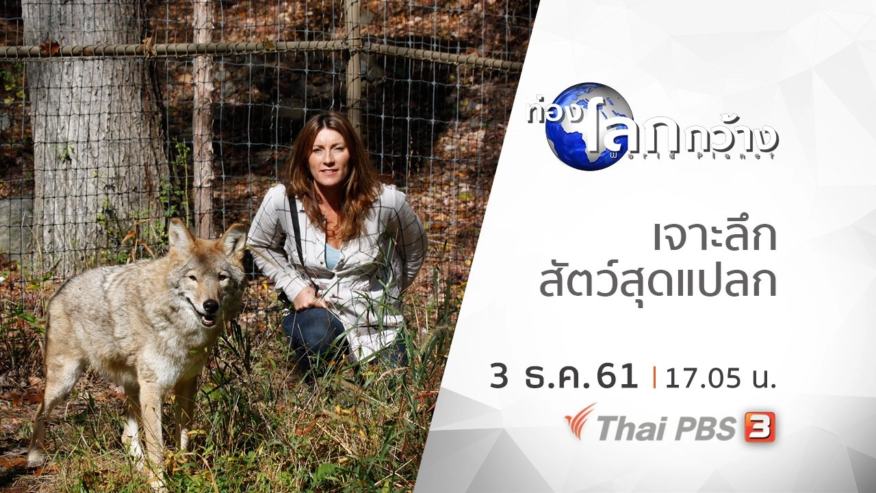 เจาะลึกสัตว์สุดแปลก