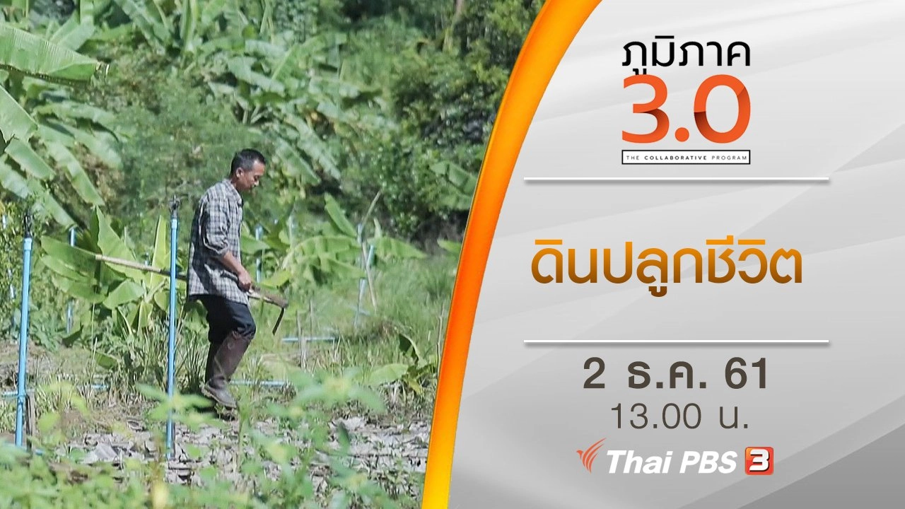 ดินปลูกชีวิต