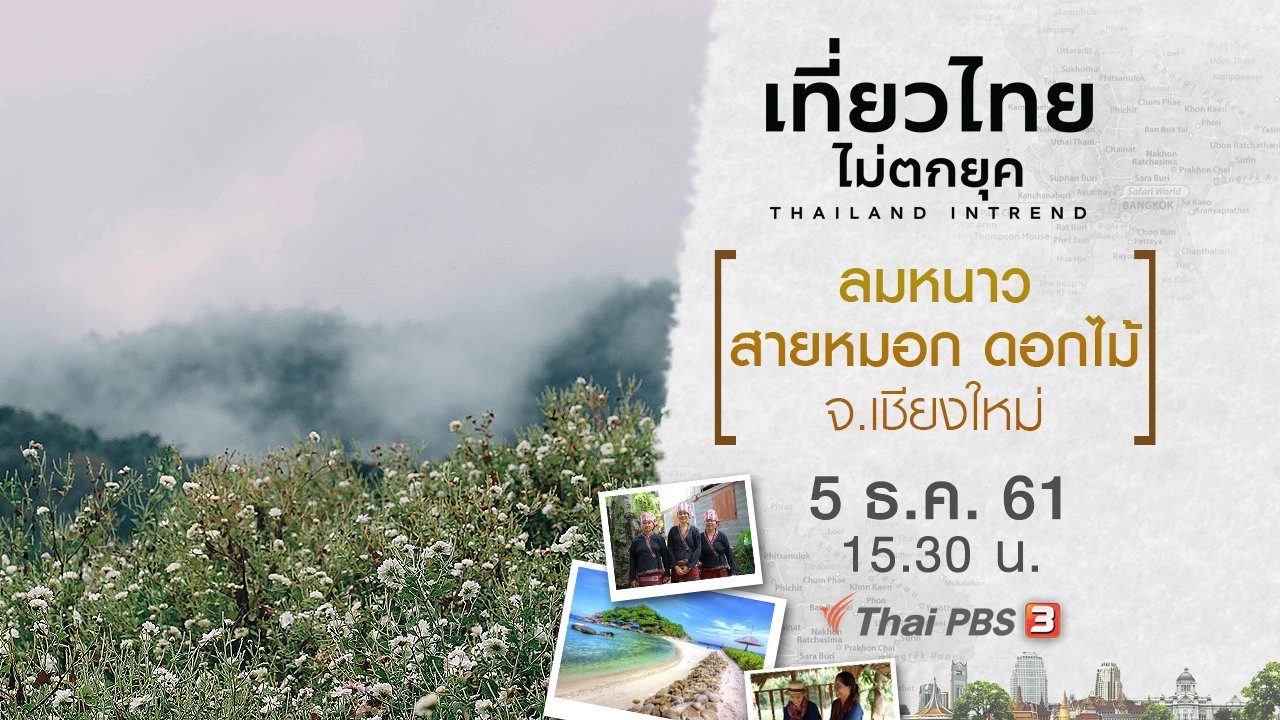 ลมหนาว สายหมอก ดอกไม้ จ.เชียงใหม่