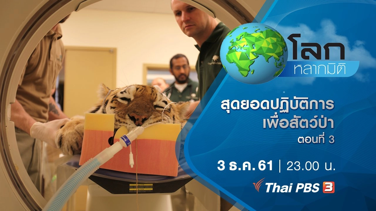 สุดยอดปฏิบัติการเพื่อสัตว์ป่า ตอนที่ 3