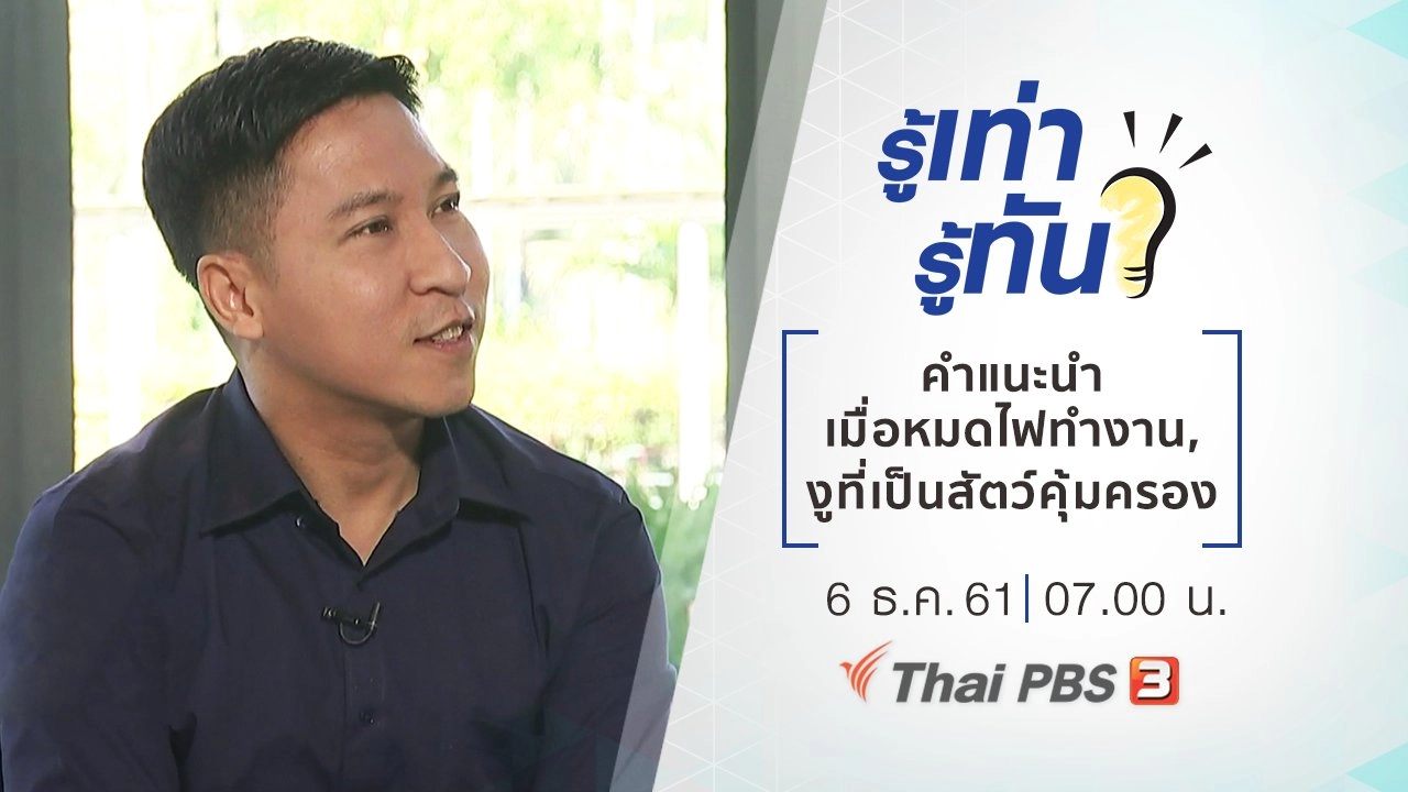 ​คำแนะนำเมื่อหมดไฟในการทำงาน, งูชนิดใดจัดเป็นสัตว์คุ้มครอง