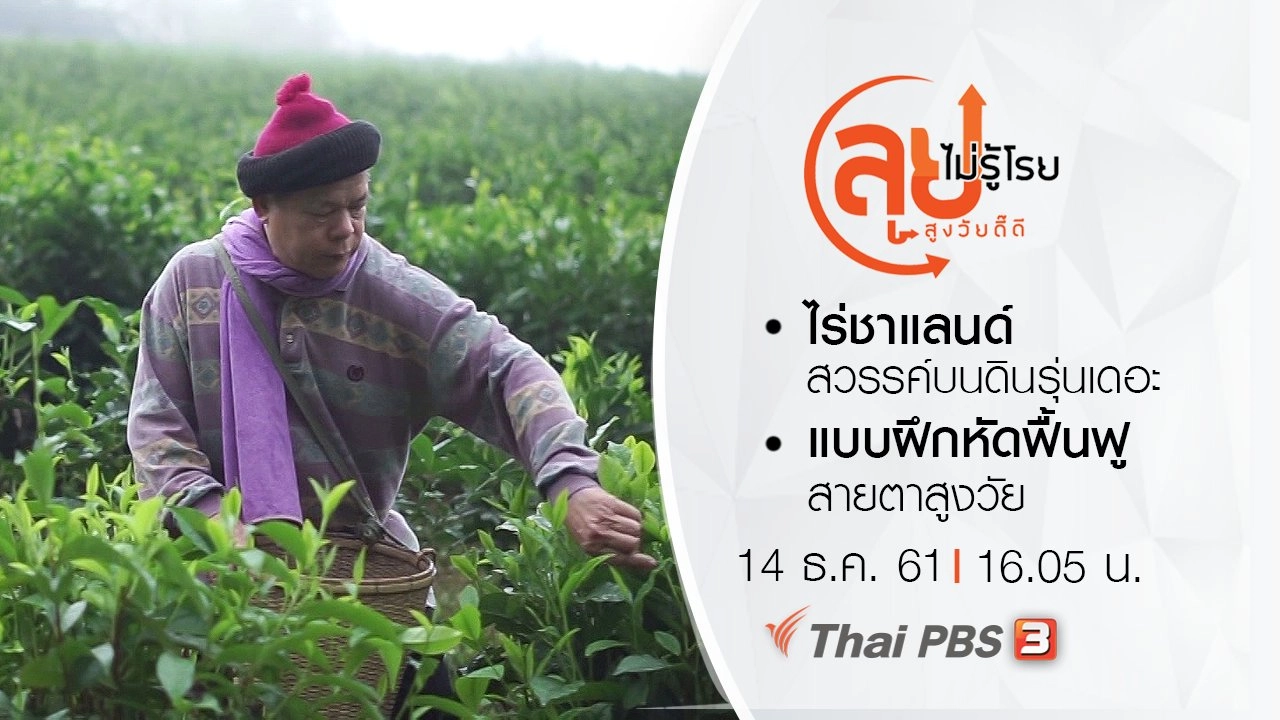 ไร่ชาแลนด์สวรรค์บนดินรุ่นเดอะ/ แบบฝึกหัดฟื้นฟูสายตาสูงวัย